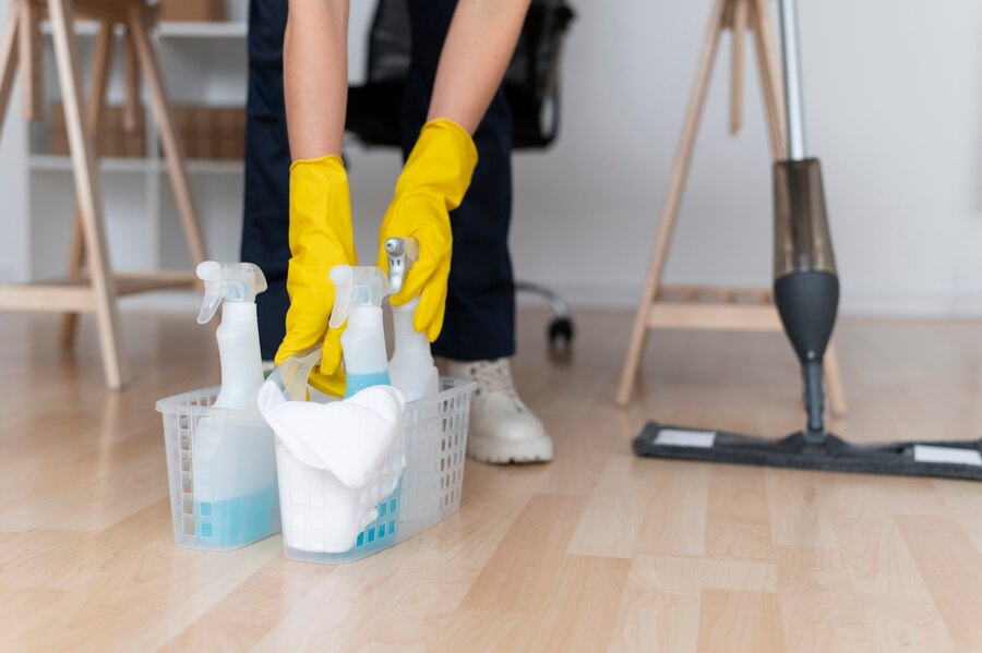 Monthly House Cleaning (1)