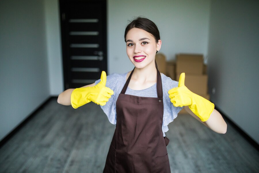 Professional Housekeepers (1)